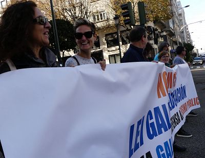 17-11-16 ManiFolgaEstudantilVigo12.JPG